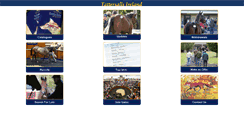 Desktop Screenshot of db.tattersalls.ie